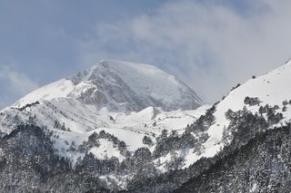 DSC_0981.JPG