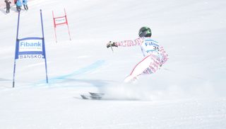 DSC_1949.JPG