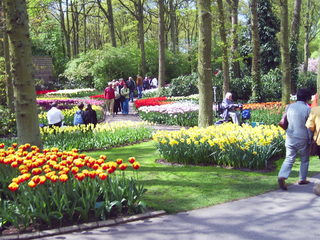 PIC_0804.JPG