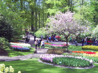 PIC_0813.JPG