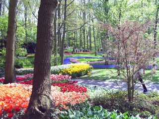 PIC_0797.JPG