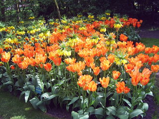 PIC_0815.JPG