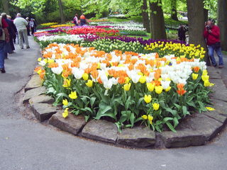 PIC_0824.JPG