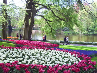 PIC_0827.JPG