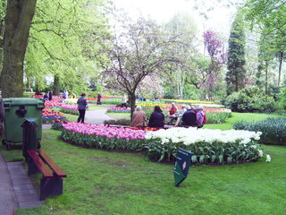 PIC_0835.JPG