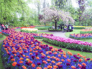 PIC_0837.JPG
