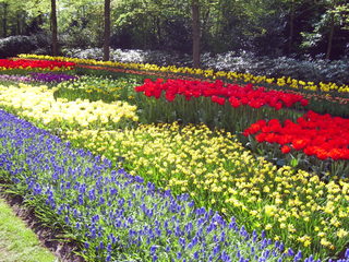 PIC_0867.JPG