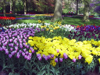 PIC_0859.JPG