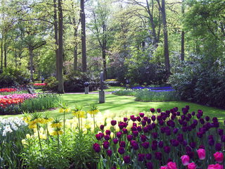 PIC_0905.JPG