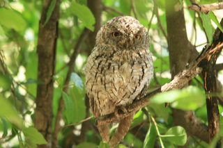 kruger jan. 2011-canon 253.JPG