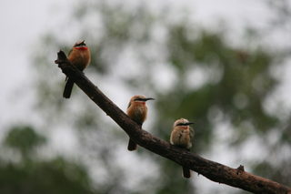 kruger jan. 2011-canon 849.JPG