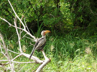 P1000324.JPG