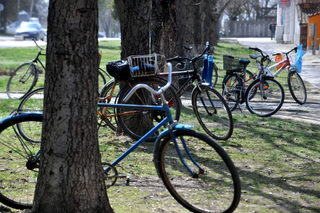 P0259897K.JPG