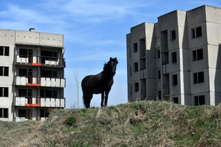 P0259901K.JPG