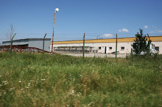P0264962H.jpg