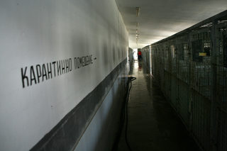P0264945H.jpg