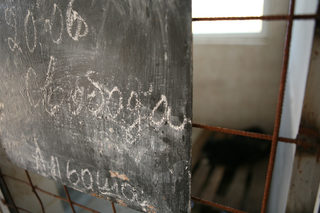 P0264948H.jpg