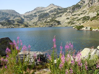 DSCN0283.JPG