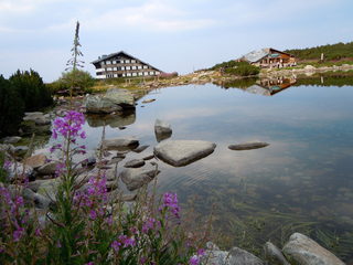 DSCN0257.JPG