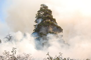 DSC_0166.JPG