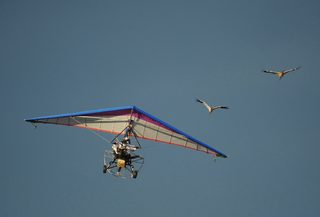 Russian President Vladimir Putin flies in a motorized deltaplane at Yamalo-Nenets district