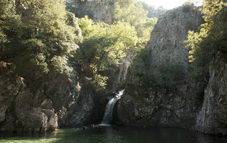 DSC_0173.jpg