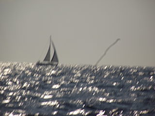 DSCF0538.JPG