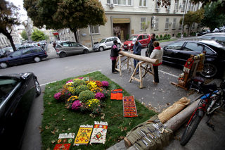 IMG_7997.jpg
