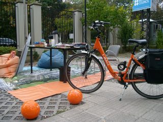 ALIM0912.JPG