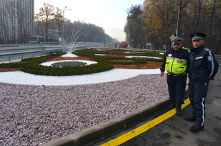 P0273376J.jpg