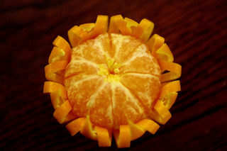 P0272870NEL.jpg