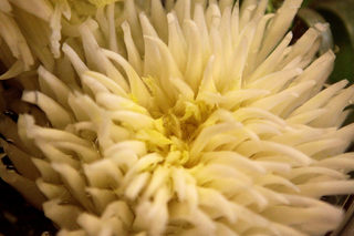 P0272857NEL.jpg