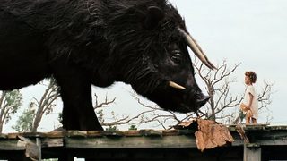 Publicity photo from the Oscar nominated film "Beasts of the Southern Wild"
