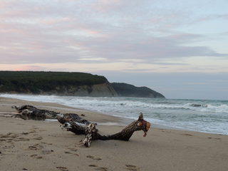 DSCN0877.JPG