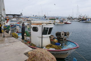 DSC05581.JPG