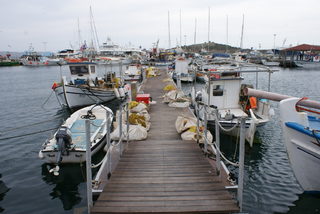 DSC05583.JPG