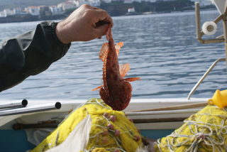 DSC05989.JPG