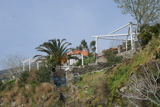 DSC06010.JPG