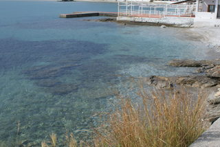 DSC06013.JPG