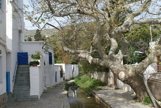 DSC06018.JPG