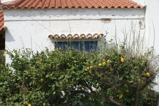 DSC06027.JPG
