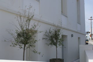 DSC06041.JPG