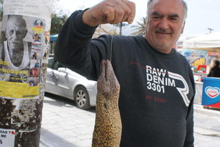 DSC06050.JPG