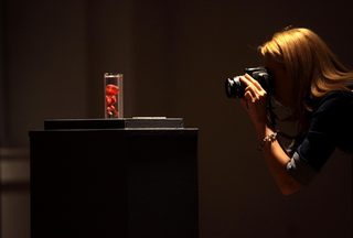 IMG_9122.jpg