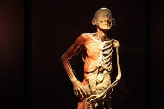 IMG_9229.jpg
