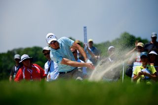 Colsaerts (2).jpg