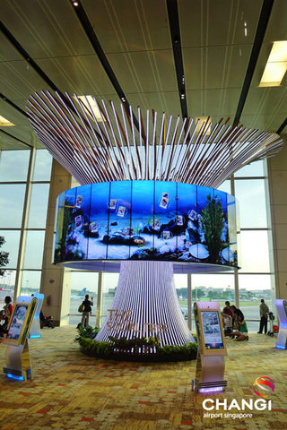 Terminal-1-Transit-The-Social-Tree.jpg