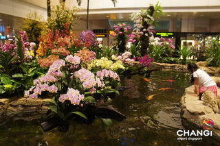 Terminal-2-Transit-Orchid-Garden.jpg
