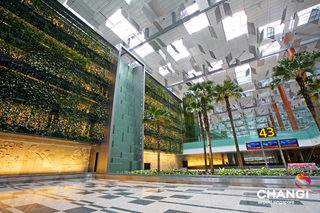 Terminal-3-Transit-Green-Wall.jpg