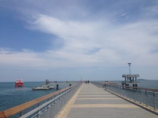 IMG_5573.jpg